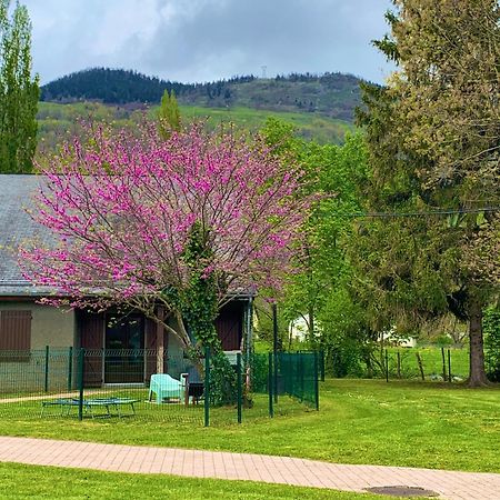 La Suite Unique - Le Jardin Sur Les Pyrenees- Vue Panoramique Montagne -Jardin Cloture Prive De 100M2-Parking-Linge De Lit Et Serviettes Compris- Bielle Esterno foto