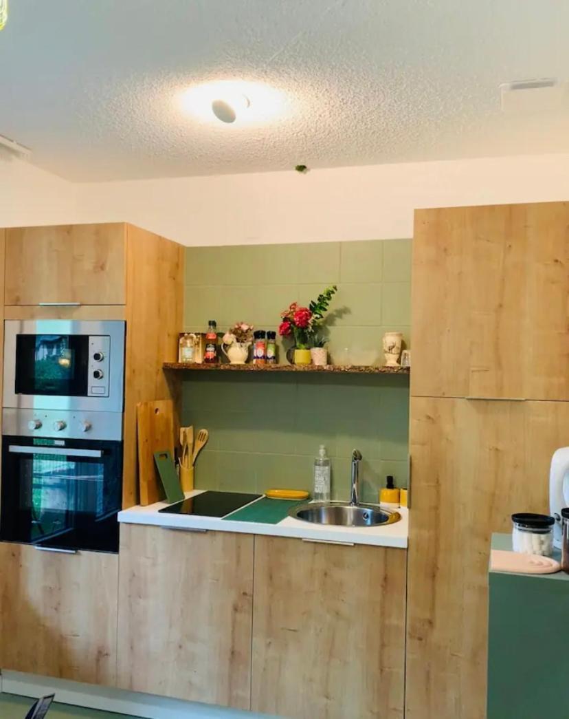 La Suite Unique - Le Jardin Sur Les Pyrenees- Vue Panoramique Montagne -Jardin Cloture Prive De 100M2-Parking-Linge De Lit Et Serviettes Compris- Bielle Esterno foto