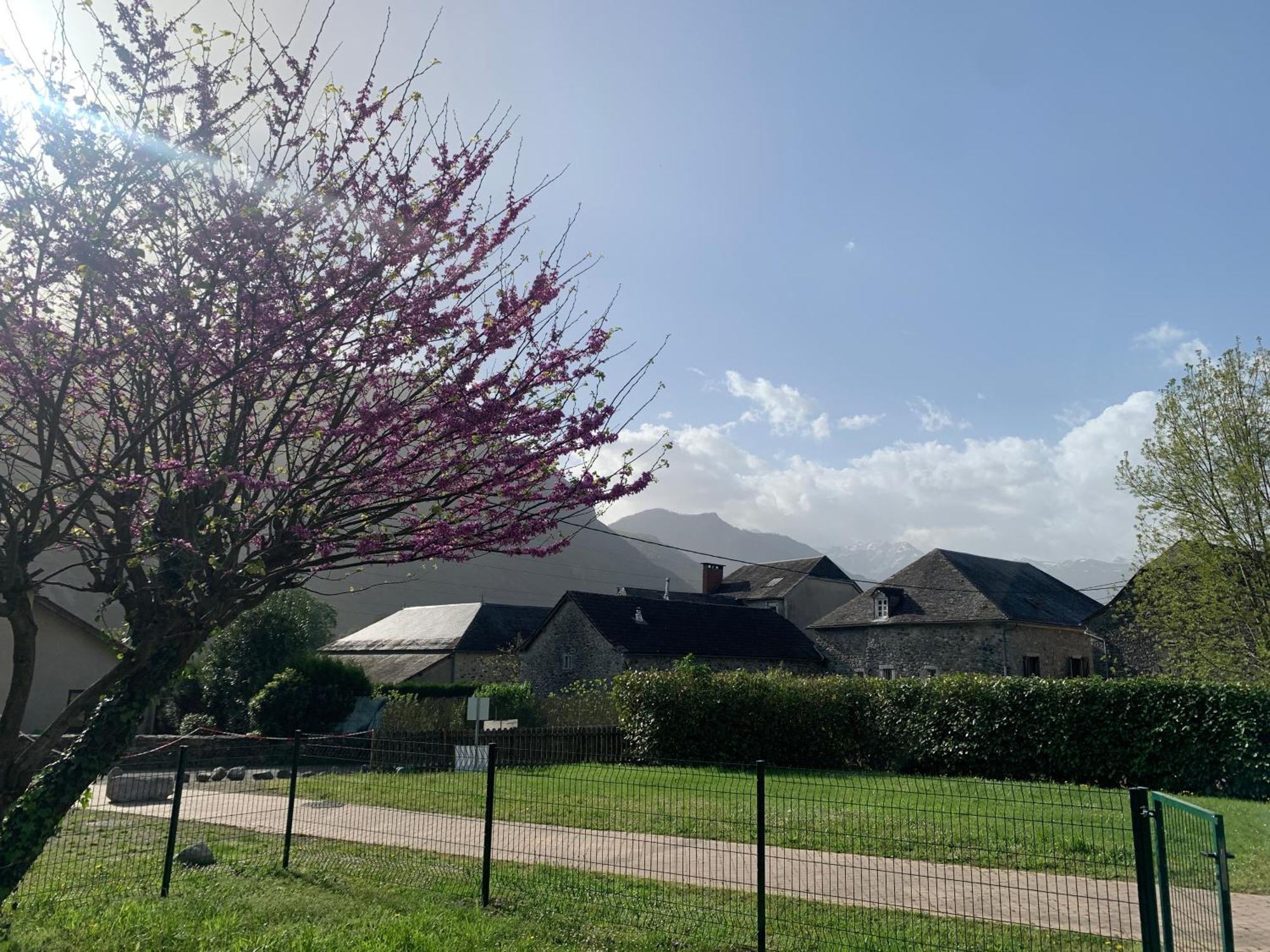 La Suite Unique - Le Jardin Sur Les Pyrenees- Vue Panoramique Montagne -Jardin Cloture Prive De 100M2-Parking-Linge De Lit Et Serviettes Compris- Bielle Esterno foto