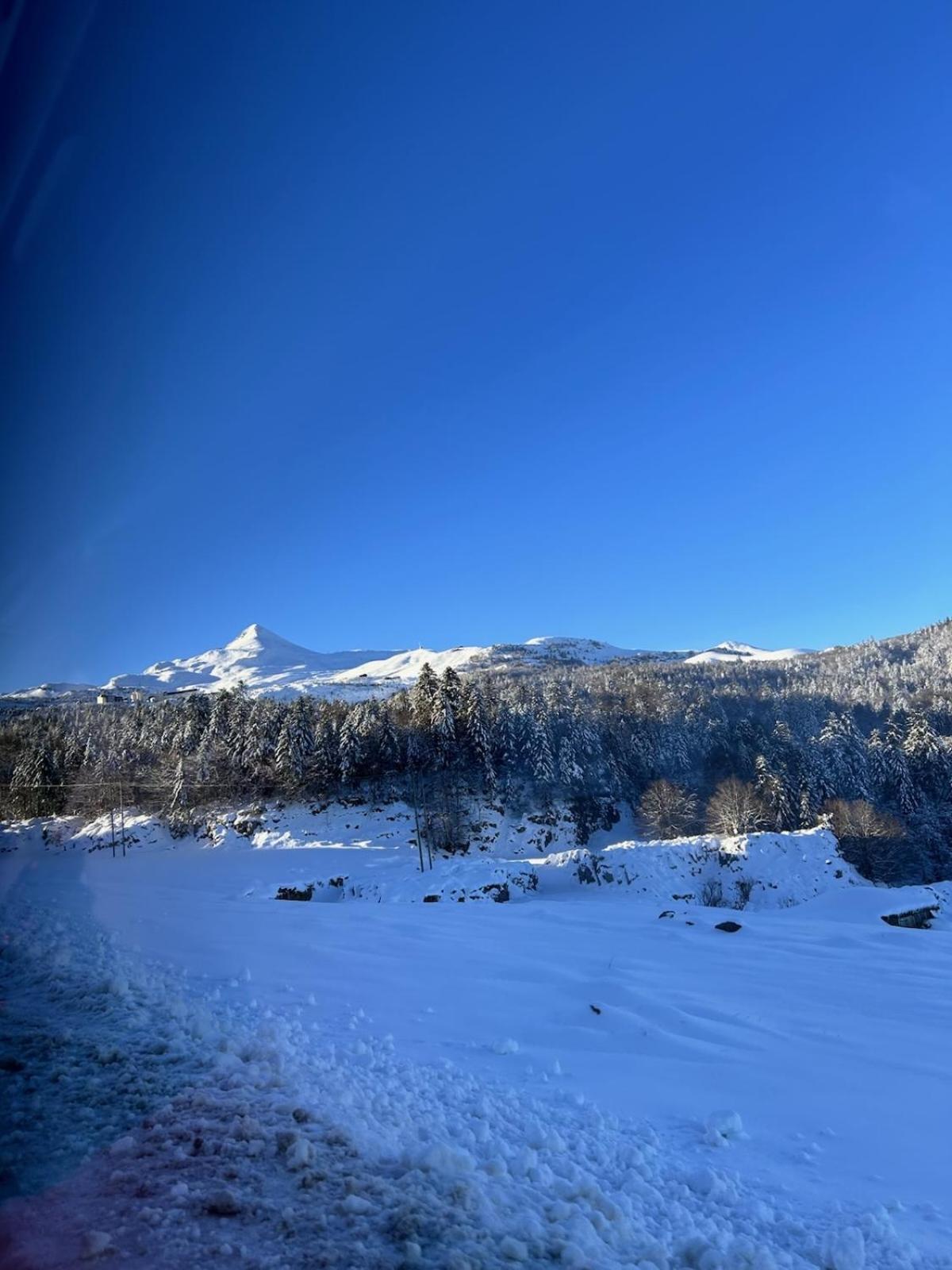 La Suite Unique - Le Jardin Sur Les Pyrenees- Vue Panoramique Montagne -Jardin Cloture Prive De 100M2-Parking-Linge De Lit Et Serviettes Compris- Bielle Esterno foto