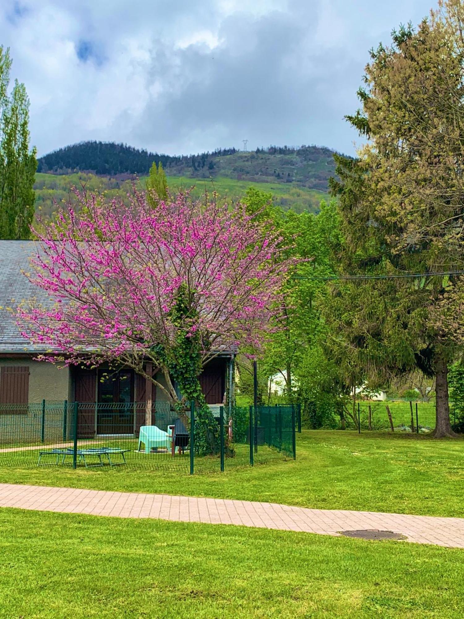 La Suite Unique - Le Jardin Sur Les Pyrenees- Vue Panoramique Montagne -Jardin Cloture Prive De 100M2-Parking-Linge De Lit Et Serviettes Compris- Bielle Esterno foto